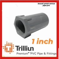 1" TRILLION pvc inner thread socket