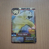 Animal Kaiser Bearpolar