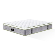 Mattress by Sleep Tech™ Luxury Memory Foam Pocketed Spring Mattress Single, Super Single, Queen, King Size