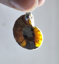 Natural Crystal Ammonite Fossil Pendant 天然水晶 斑彩螺 顺风螺吊坠