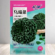 Black Vegetable Seeds Small Eight-Leaf Vegetables Vegetables Green Vegetables Chrysanthemum Vegetabl
