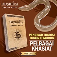 kapsul belut asli, untuk tenaga seksual lelaki dan wanita, tongkat ali & kacip fatimah, kopi pejuang