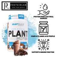 Everbuild Nutrition 100% Natural Plant Protein (1.65 Lbs)