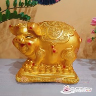 Lợn Bệ Vàng Siêu To Siêu Đẹp