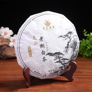 FASH Portable Easels Plate Holders Display Stand Stander Picture Frame Photo Tools Display Dish Ra H