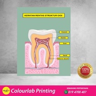 Year 6 science Banner