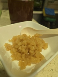 【天然益生菌】有機水克菲爾珠 Active Organic Water Kefir Grains｜健康發酵水｜HK$40 / 30g（只限面交）