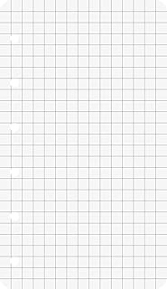 Brunnen 106600201 Ring Binder Inserts (7.4 x 12.8 cm, Squared, 50 Sheets, 70 g/m²)