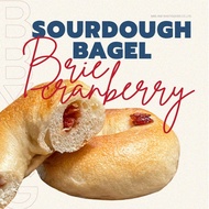 Sourdough Brie & Cranberry Bagel (ขนมปังเบเกิลไส้บรีชีส แครนเบอร์รี่)