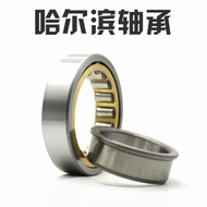 HRB | N2222 2224 2226M Bearings