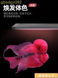吉印羅漢魚專用燈紅色led水增艷燈RGB成魚幼苗專業增紅觀賞發色燈 滿299起送