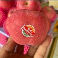 buah apel fuji fresh import 1kg