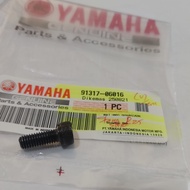 Yamaha R25 Steering Wheel Bolt 91317-06016
