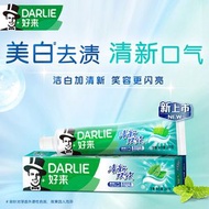 內地直送 - DARLIE好来(原黑人)牙膏清新双效200g*4支套装大容量清新口气-清新双效200g*4 均码