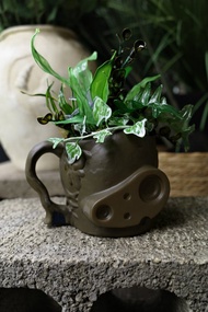 自由蔓生 綠植 天空之城機器人兵 盆栽 桌花