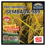 Benih Padi SEMBADA 989 Bibit Padi HIBRIDA Super Unggul Kualitas Terbaik KEMASAN 1KG
