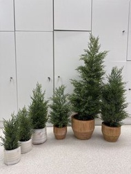仿真聖誕樹/香冠柏 簡約高質感簡約風盆栽 送禮自用擺設