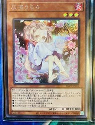 遊戲王 銀碎 灰流 異圖 美品