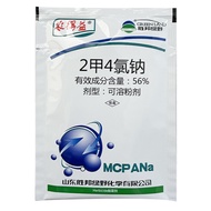 40K Cina / Kawalan Keladi Agas / Rumput Air / MCPA 56% / 30gram