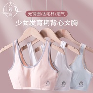 12-18 Years Old Girls Vest Bra Two-Stage Developmental Bra 34-42A Cup Pure Cotton Seamless Chest Sho