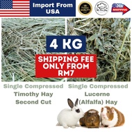 Rumput Arnab Alfalfa Hay Rabbit Timothy Hay 2 Cut Makanan Arnab Rumput Kering Rabbit Hays Timoty Hay