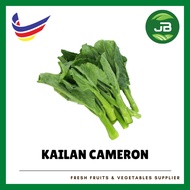 Sayur Kailan Cameron 金马伦芥兰 300g - 400g +/- Cameron