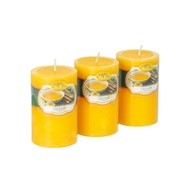 Set of 3 round scented candles D5H8 Miss Candle FtraMart EDC0511 (5 x 8 cm) (Choose color)