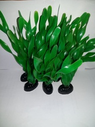 Tanaman Sintetis aksesoris aquarium jenis rumput laut