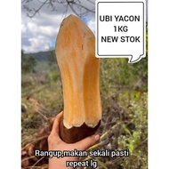 UBI YACON/YAKON 1KG /FRESH