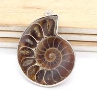 KFT Natural Ammonite Seashell Snail Stone Ocean Conch Shell Animal Crystal Cabochon Pendant Women Me