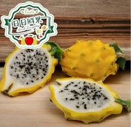 厄瓜多爾麒麟果 2個