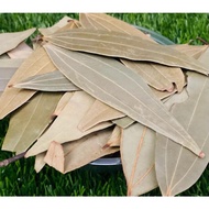 Bay Leaves/ Daun Bay Leaves