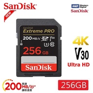 公司貨免運記憶卡 高速記憶卡  SanDisk晟碟 Extreme Pro SD 64G 128G 256GB