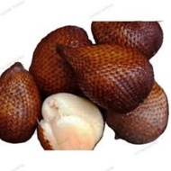 Buah Salak Pondoh 1KG