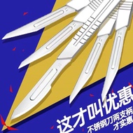 Grafting Stainless Steel Knife Surgery No. 34 Handle No. 11 No. 23 Blade Utility Knife Carving Knife