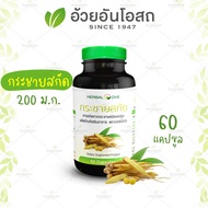 กระชายสกัด (กระชายขาว) 60 แคปซูล อ้วยอันโอสถ / Herbal One