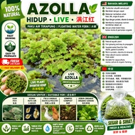 Premium Live Azolla 1kg RM5 | Fast Growing Floating Fern for Aquaculture & Compost