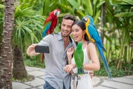 Tiket Bali Bird Park
