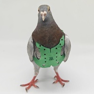 Pigeon Flying Rope Pigeon Traction Rope Pigeon Clothes Pigeon Foot Ring Pigeon Believe Pigeon Suppli