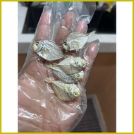 ✟ ◈ ☂ Small Sapsap dried fish from Bicol 100 grams