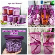 Tupperware Pink / Purple / Black / Merlot Umami Collection Spice Savers 500ml 4 units new item ready