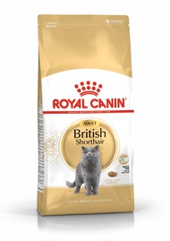 Royal Canin British ShortHair Adult Dry Cat Food 10kg Original Pack short hair makanan kucing bsh kitten premium quality imported famous popular good original