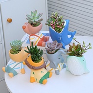 Dreamerhouse Ceramic Succulent Flowerpot Creative Cartoon Animal Ceramic Succulent Potted Plant