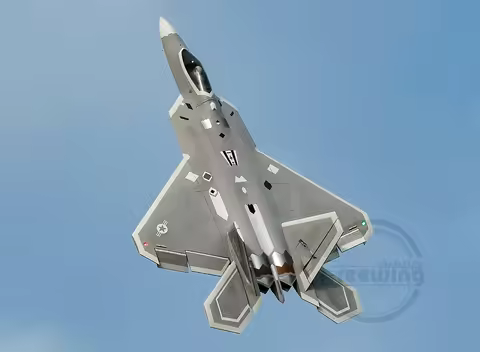 RC Jet Plane Freewing F22 Raptor 80mm PNP