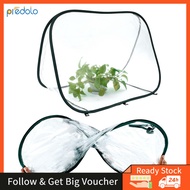 predolo Mini Greenhouse Transparent Durable Folding Easy Storage Portable Flower Houses Plant Flower Growing Tent for Vegetable Indoor