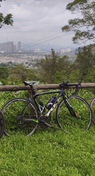 Fuji 頂級旗艦碳纖維公路車  單車 ultegra fulcrum  road bike