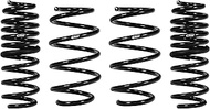 Eibach E10-46-038-02-22 Pro-Kit Performance Springs (Set Of 4 Springs)