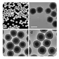 (Message shop) Nano Fe3O4@SiO2 for application research