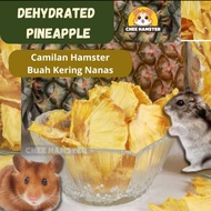 Pineapple Dehydrated Hamster Snack - Dried Pineapple Snack Hamster Food