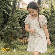 CHELSEA Little Palmerhaus Girls'Chelsea Dress